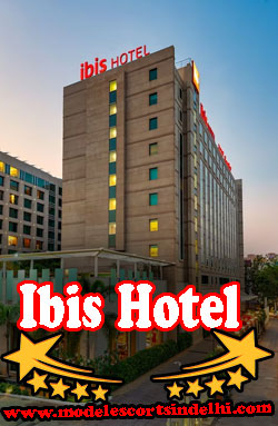 Ibis Hotel Aerocity