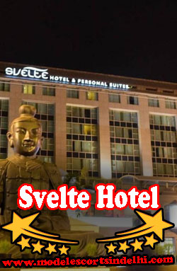 Svelte Hotel